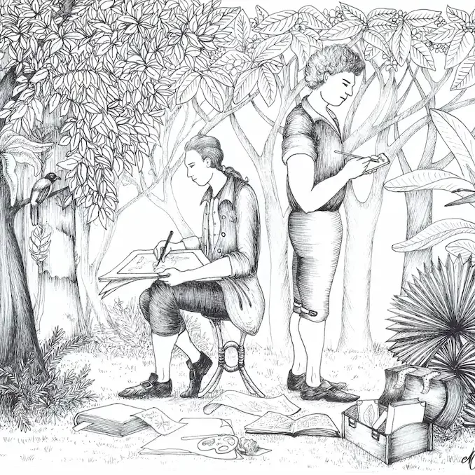 botanistes Illustration M Cordonnier Botanistes Les Français à Singapour
