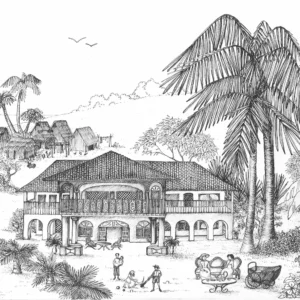 illustration M Cordonnier Les français à Singapour