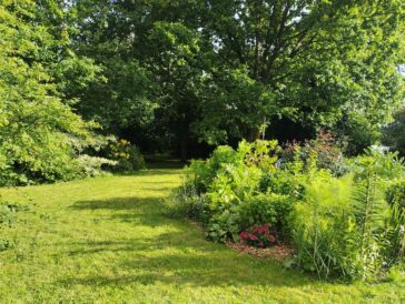 jardin