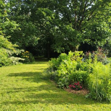 jardin